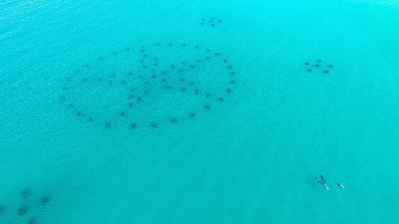 Photo of Others in Crystal Beach