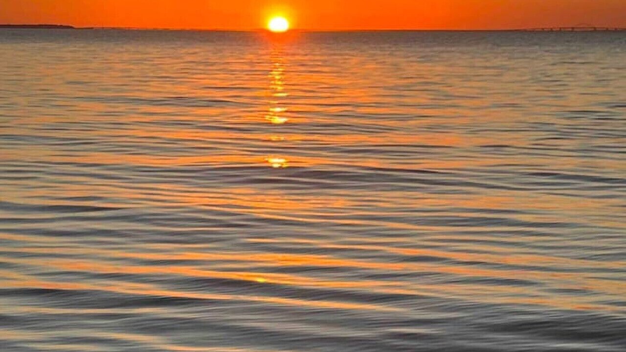 Photo of Others in Gulf Breeze