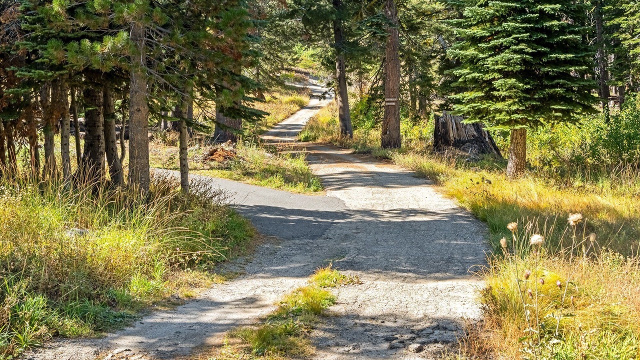 Photo of Others in Bear Valley