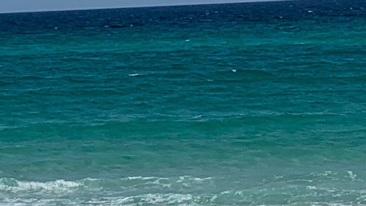 Photo of Others in Navarre