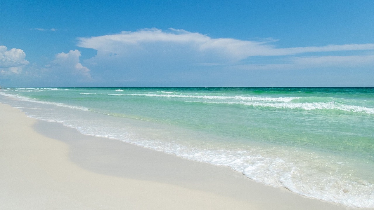 Photo of Others in Panama City Beach