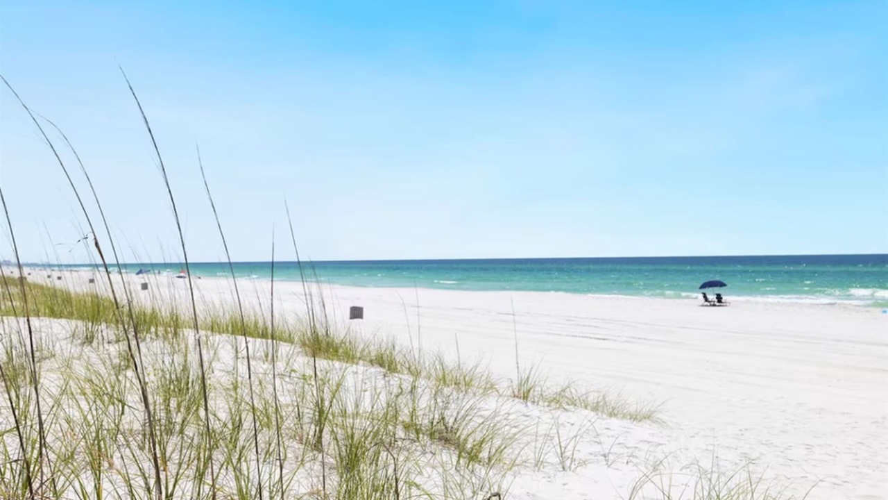 Photo of Others in Panama City Beach
