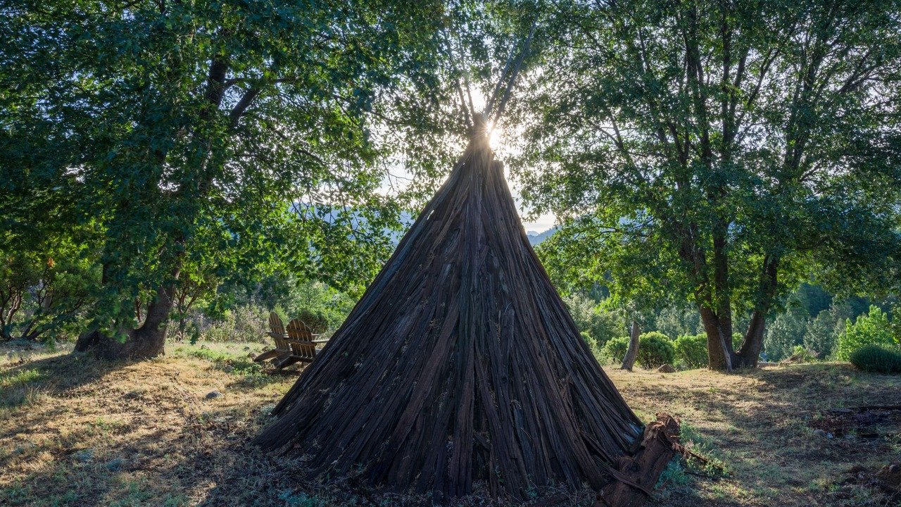 Photo of Others in Foresta
