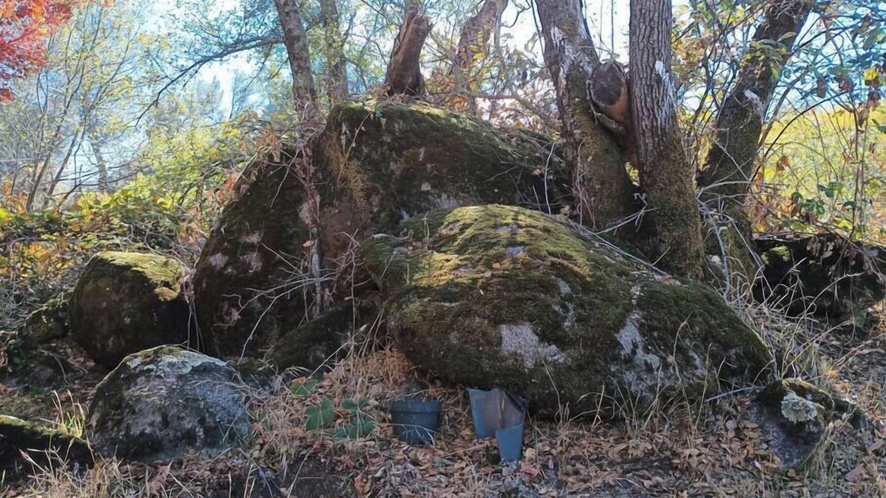 Photo of Others in Loomis