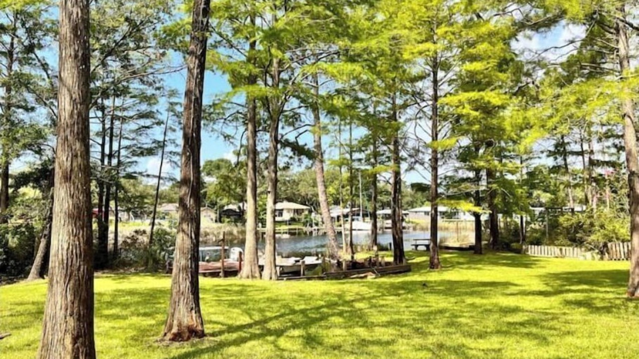 Photo of Outdoor in Ono Island