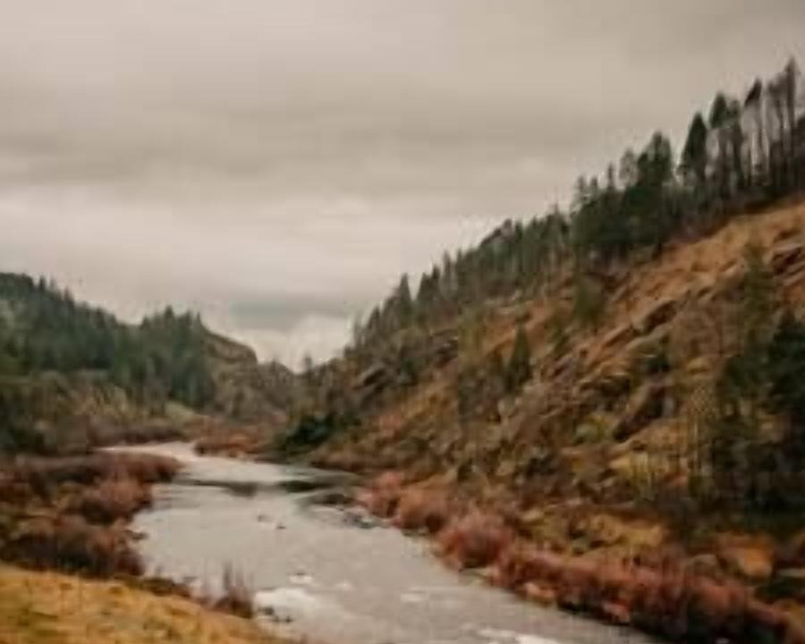 Photo of Others in Grants Pass