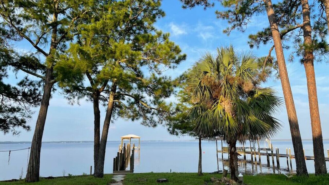 Photo of Others in Florida Panhandle
