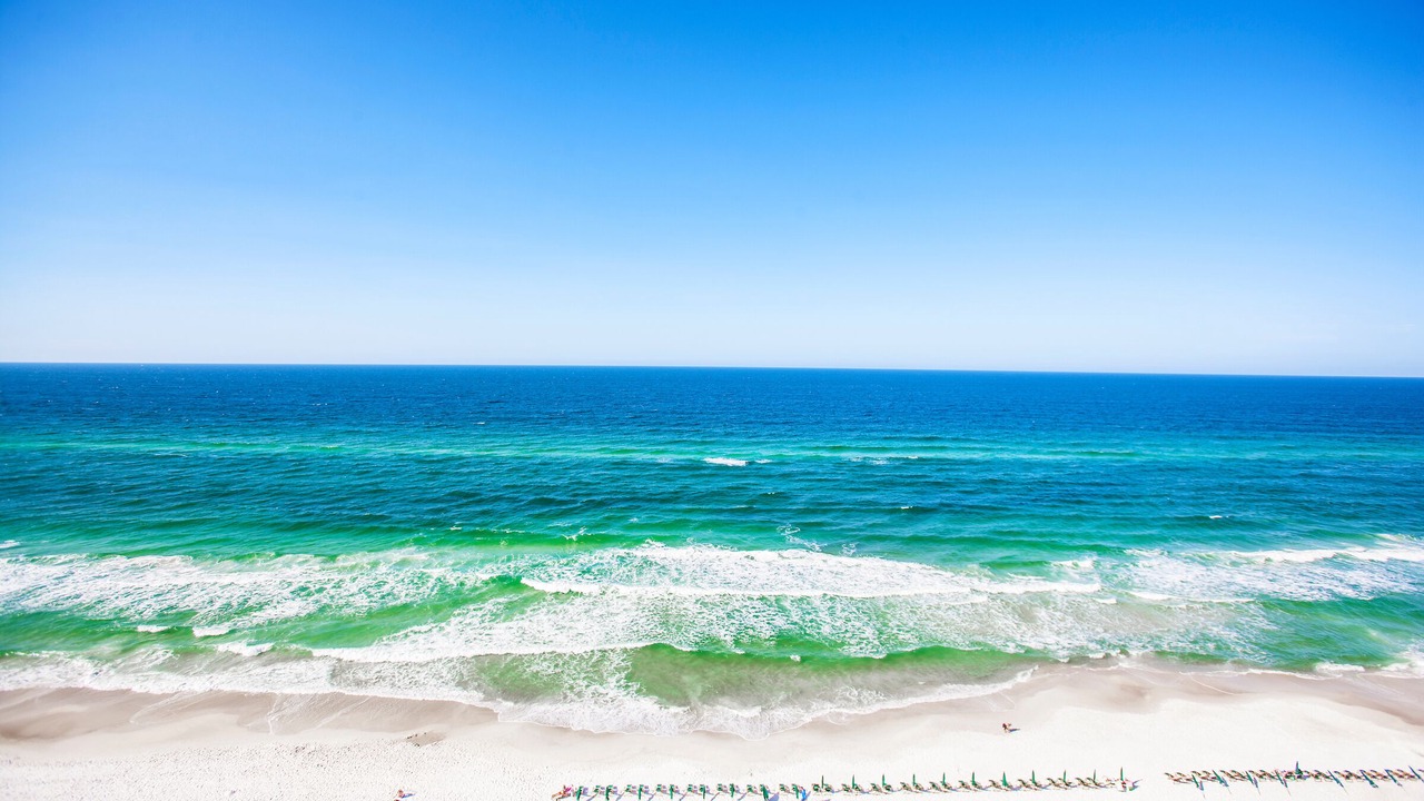 Photo of Others in West Panama City Beach