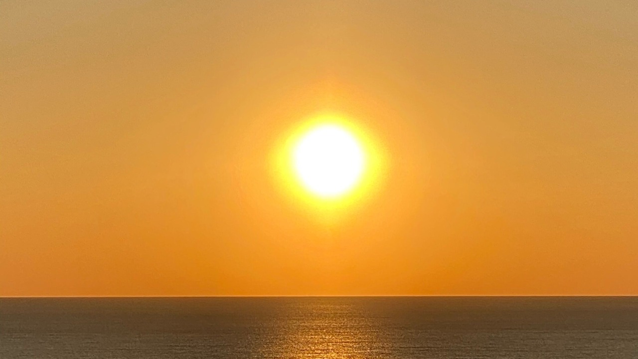 Photo of Others in West Panama City Beach