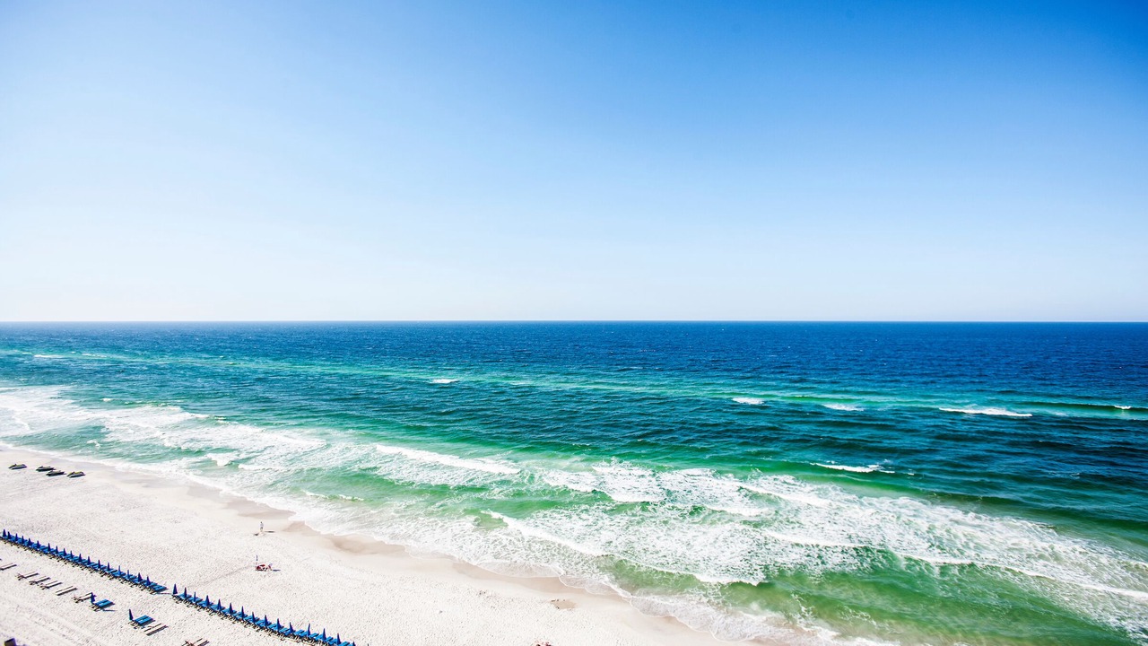 Photo of Others in West Panama City Beach