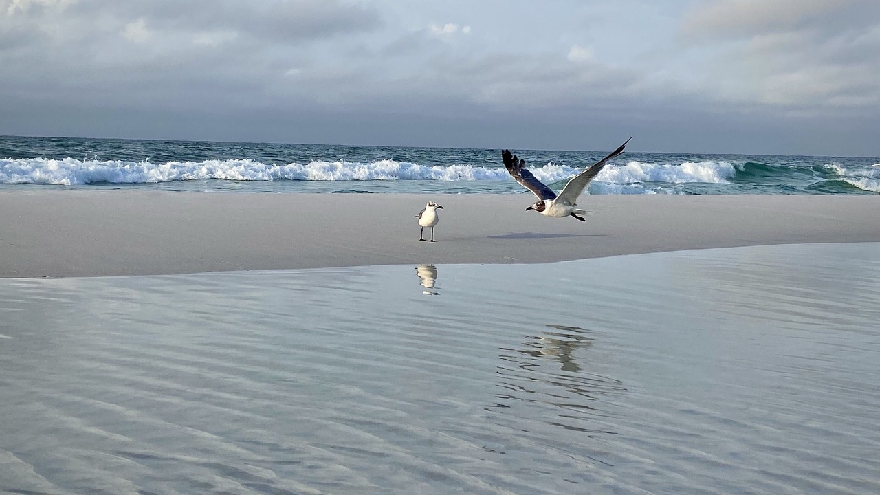 Photo of Others in Crystal Beach