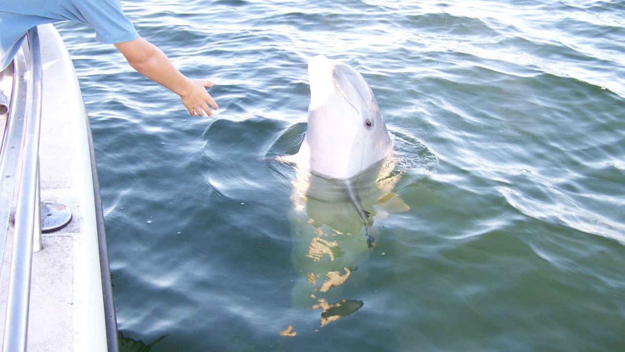 Photo of Others in Lower Grand Lagoon