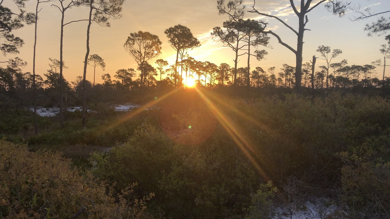 Photo of Others in Lower Grand Lagoon