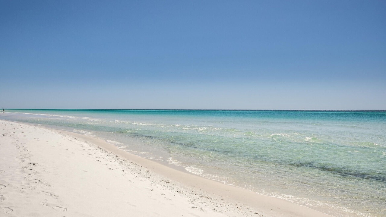 Photo of Others in Seagrove Beach
