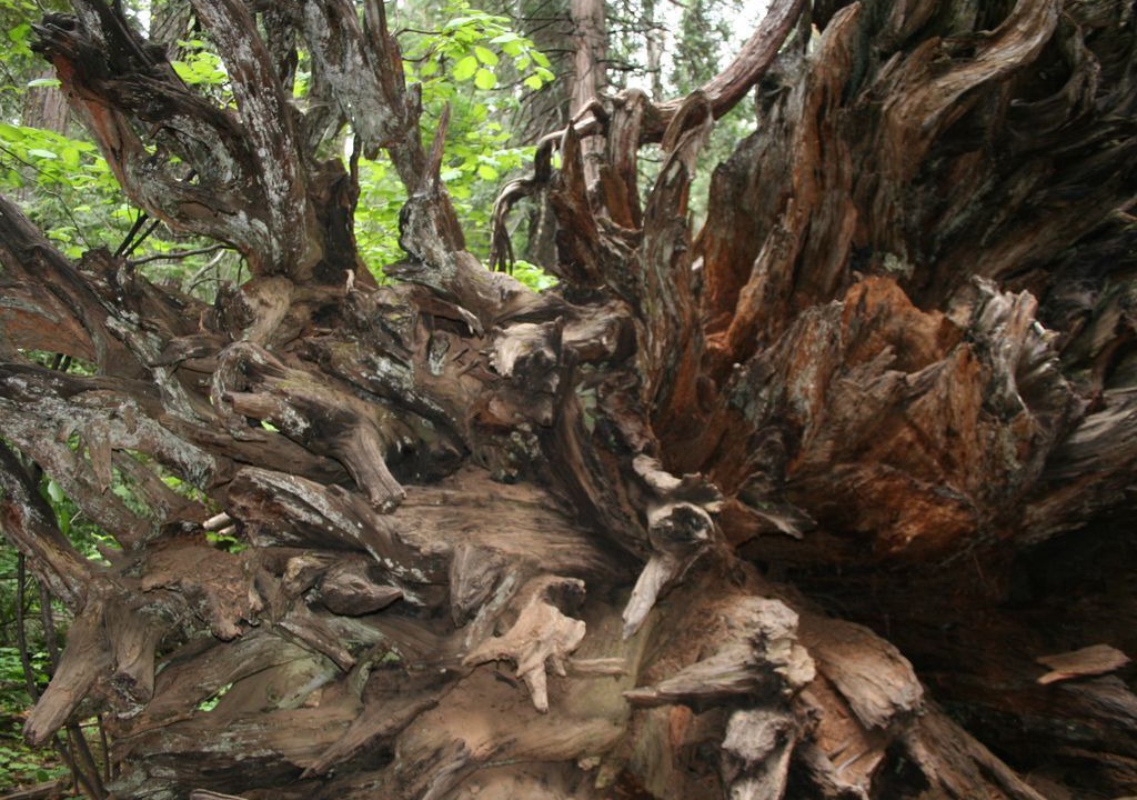 Photo of Outdoor in Arnold