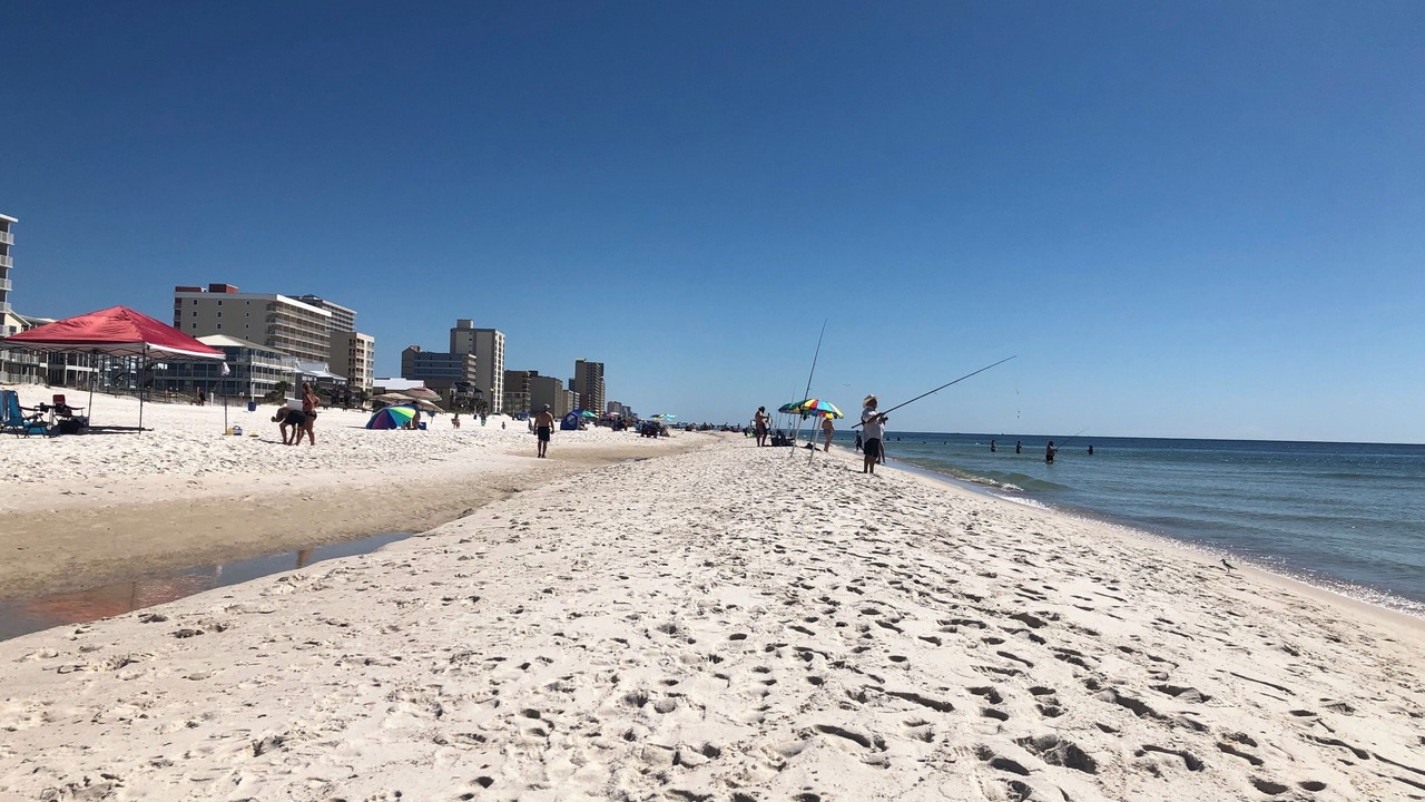 Photo of Others in Gulf Shores