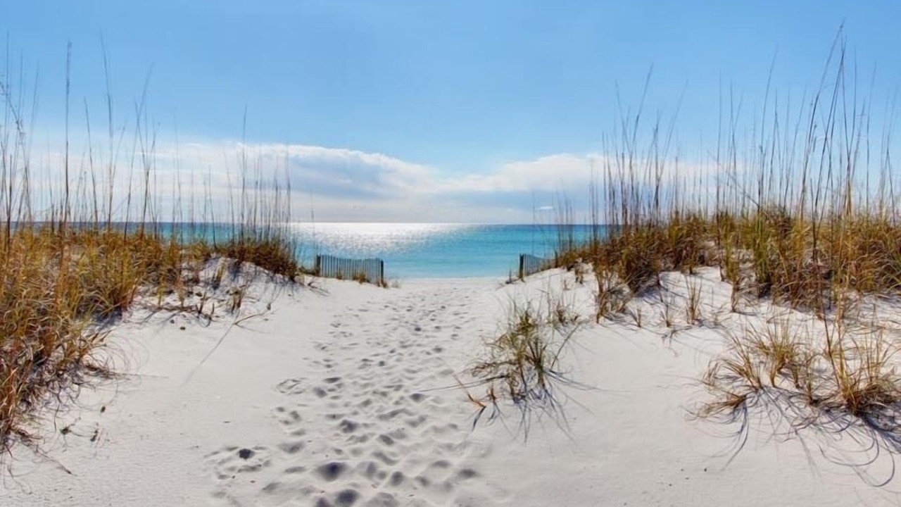 Photo of Others in Pensacola Beach