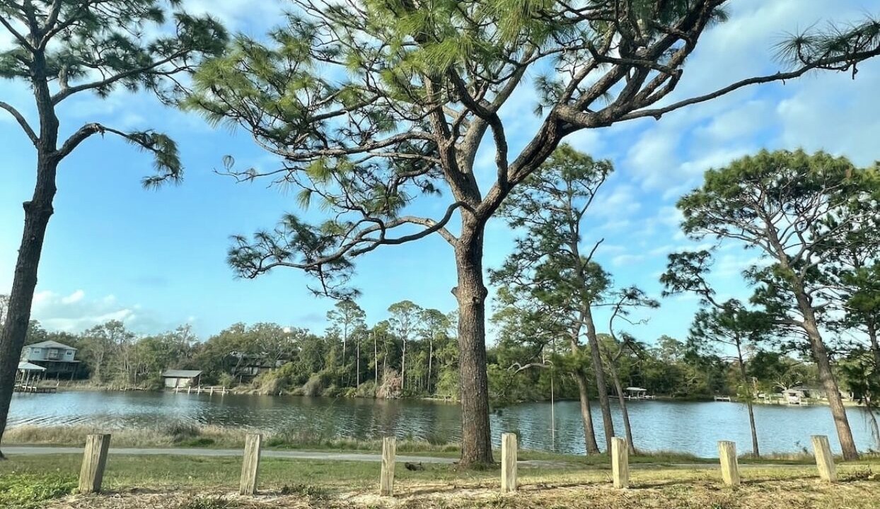 Photo of Others in Navy Point