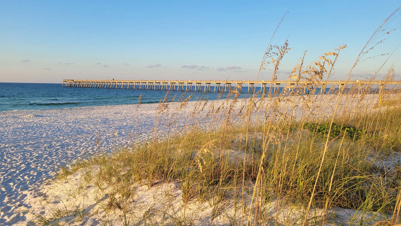 Photo of Others in Navarre