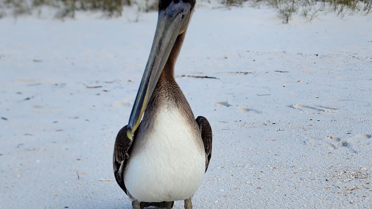 Photo of Others in Navarre