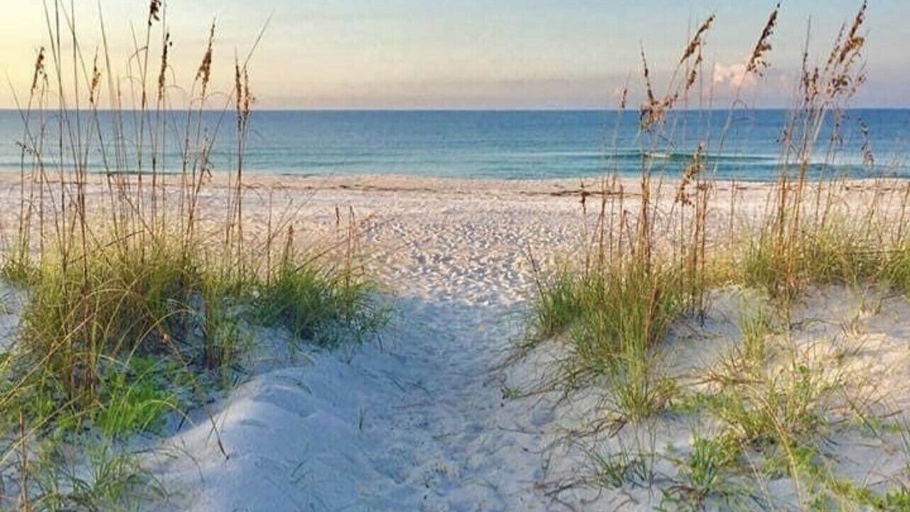 Photo of Others in Navarre