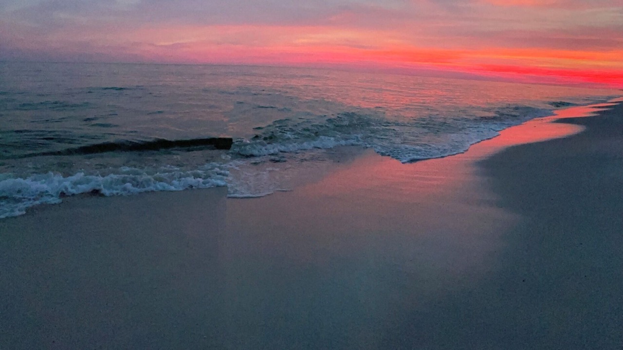 Photo of Others in Perdido Key Coves One