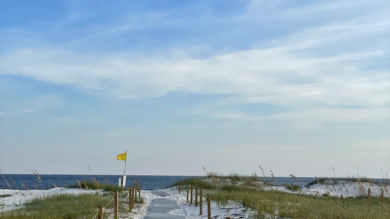 Photo of Others in Perdido Key Coves One