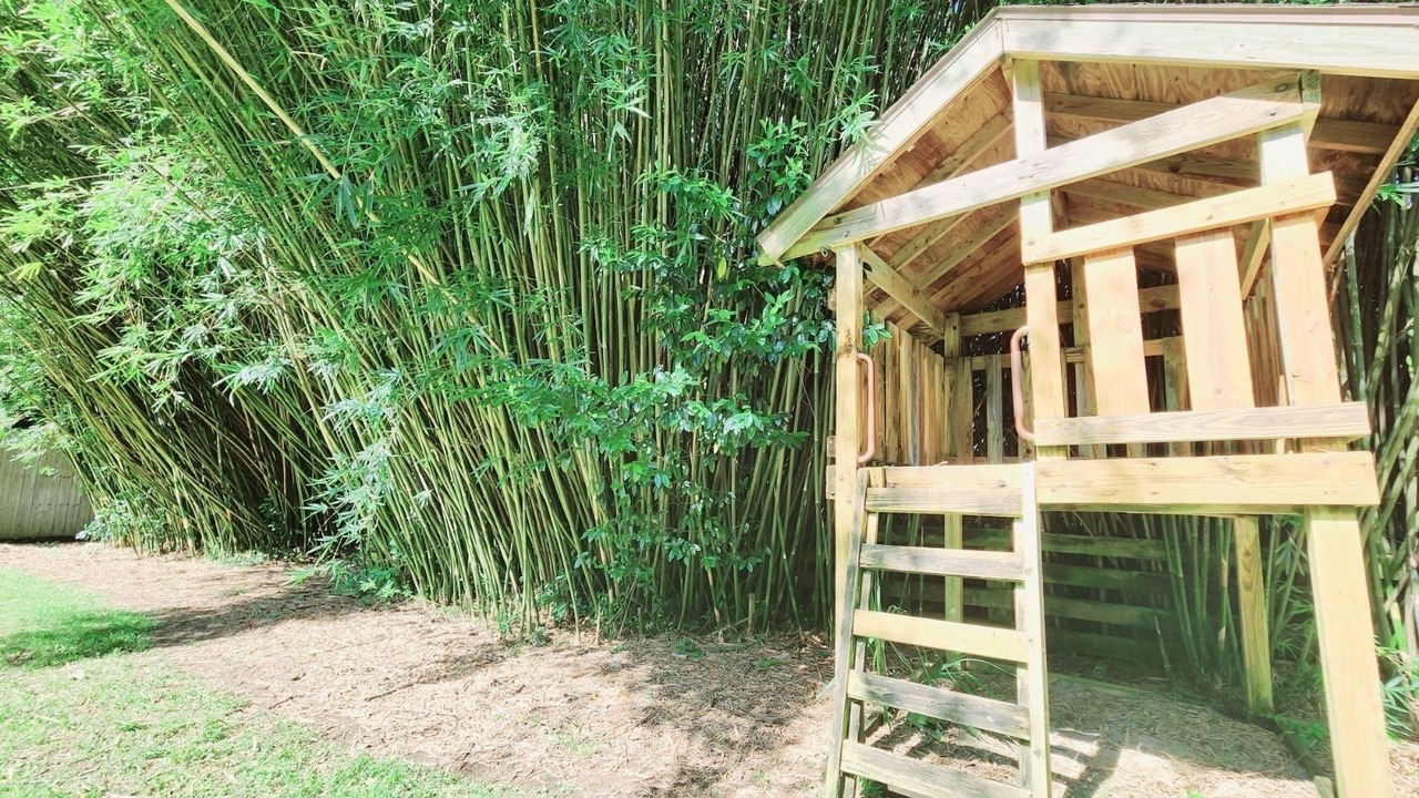Photo of Outdoor in Warrington
