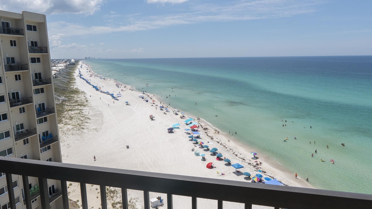 Photo of Others in Sunnyside