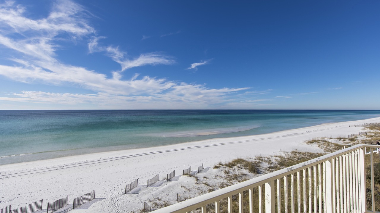 Photo of Others in Dune Allen Beach