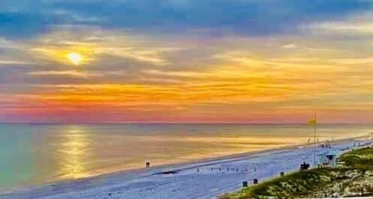 Photo of Others in Gulf Lagoon Beach