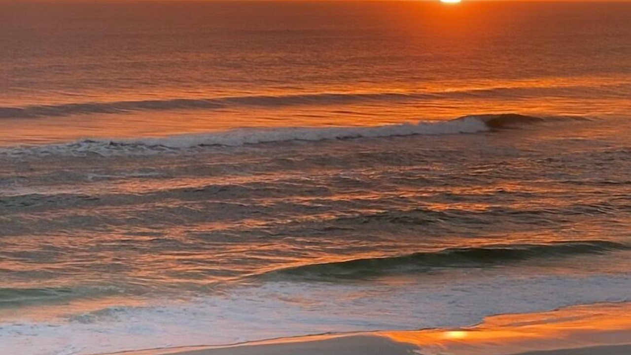 Photo of Others in Gulf Lagoon Beach
