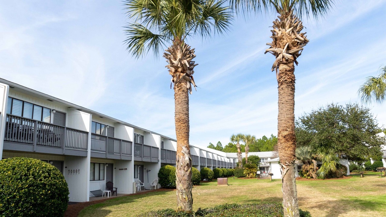 Photo of Outdoor in Seagrove Beach