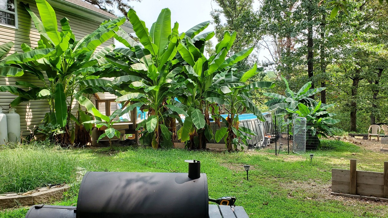 Photo of Outdoor in Bella Vista