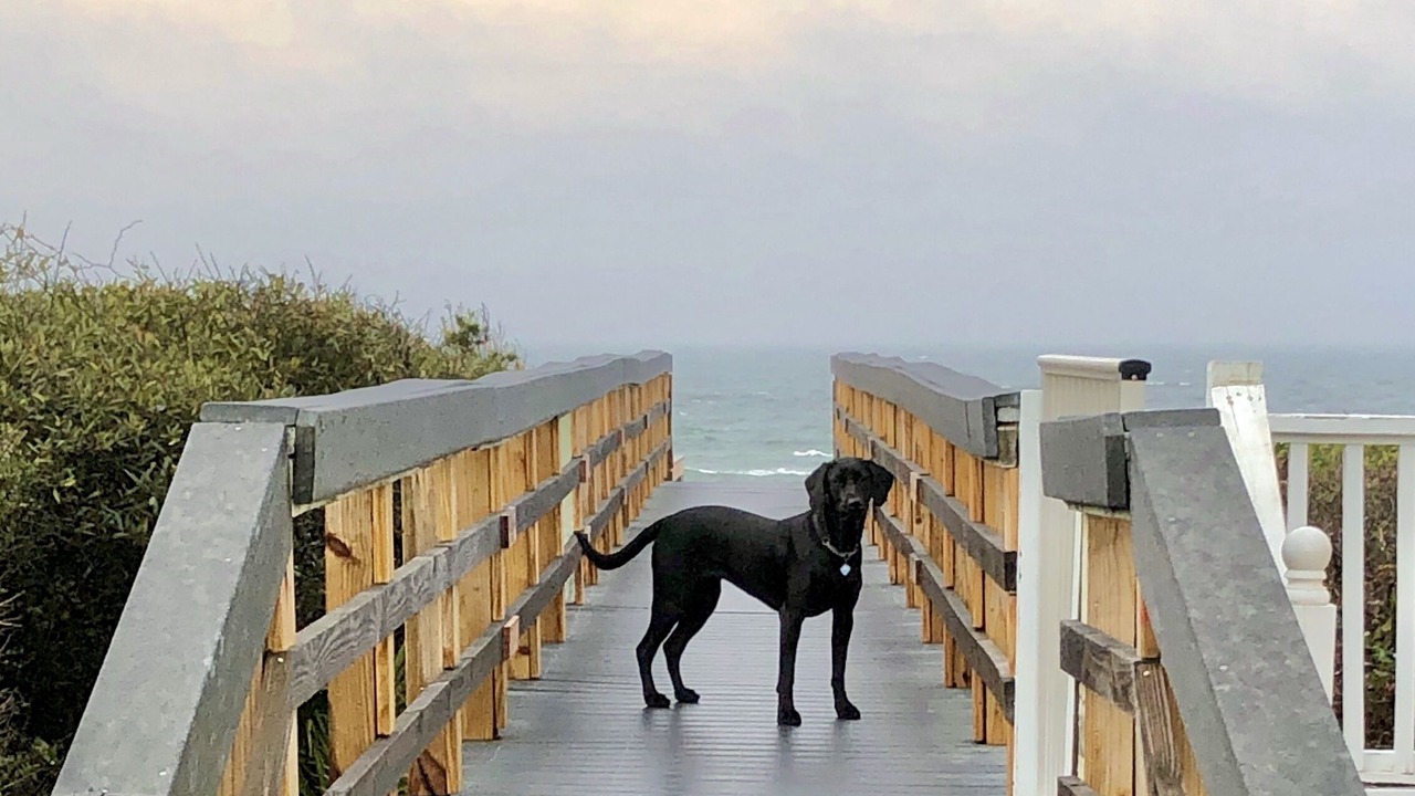 Photo of Others in Seashore Village