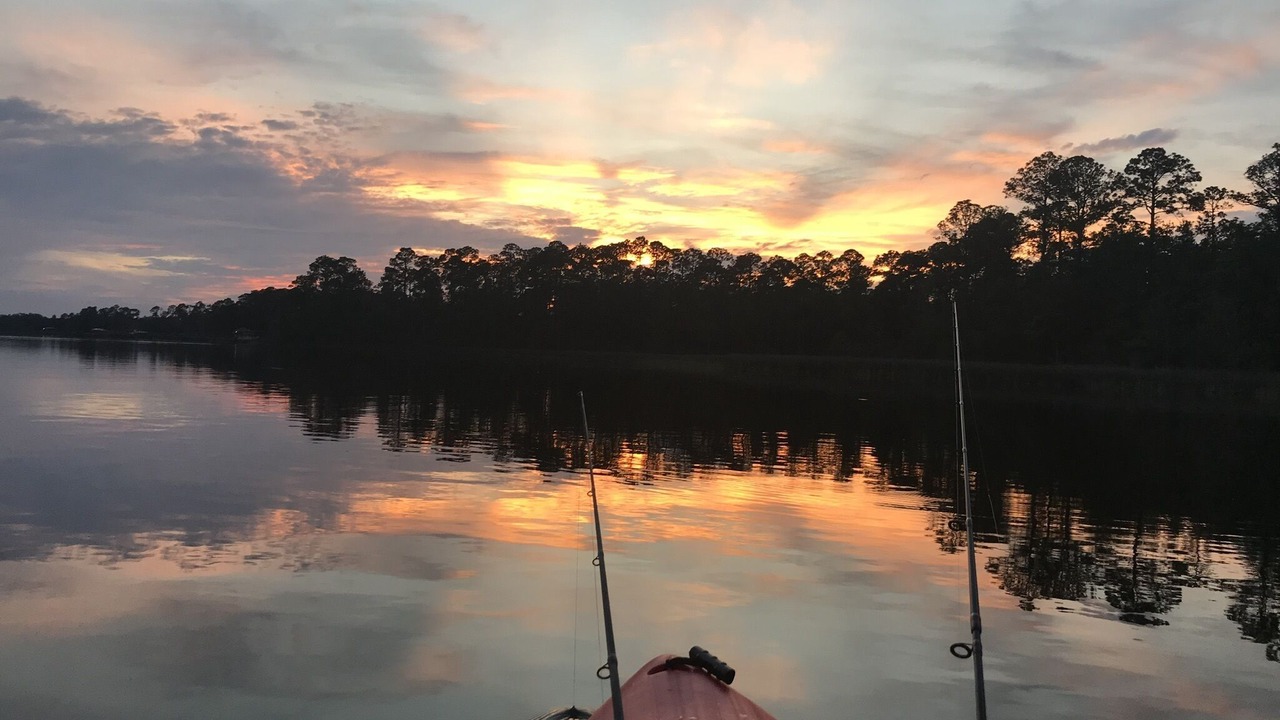 Photo of Others in Florida Panhandle