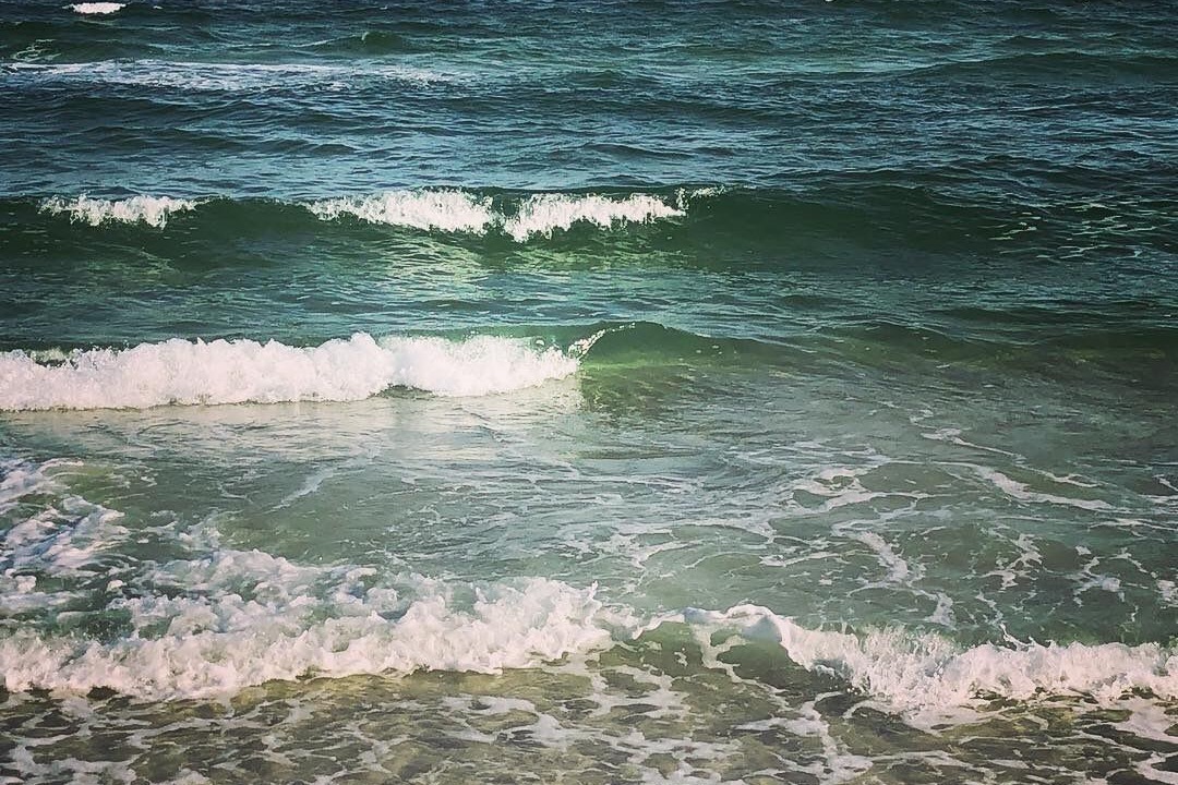 Photo of Others in Florida Panhandle