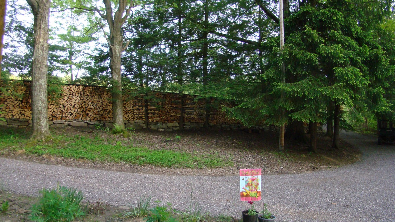 Photo of Others in Fort Hill