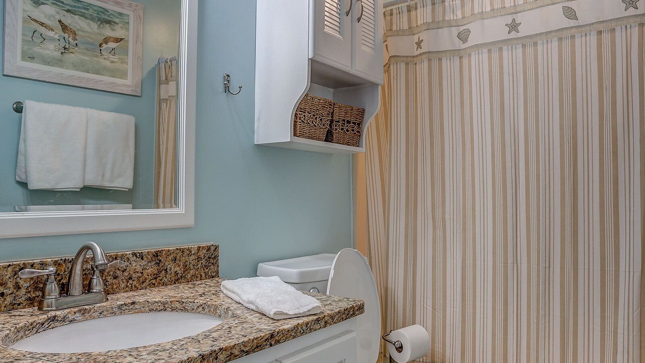 Photo of Bathroom in Gulf Lagoon Beach