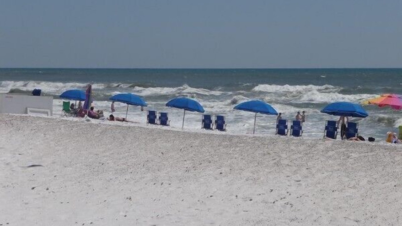 Photo of Others in Fort Walton Beach