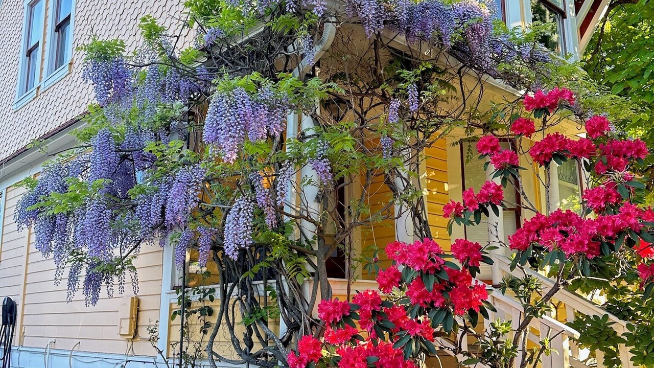 Photo of Outdoor in Historic Downtown District