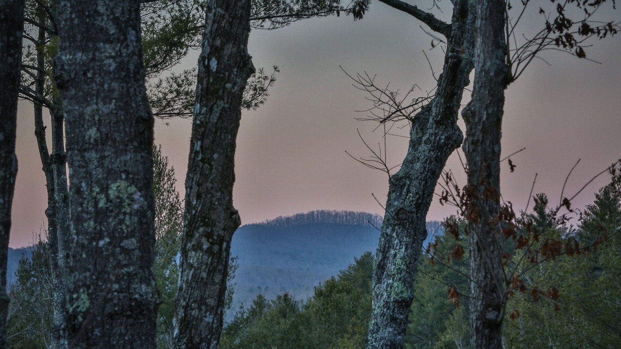 Photo of Others in Morganton