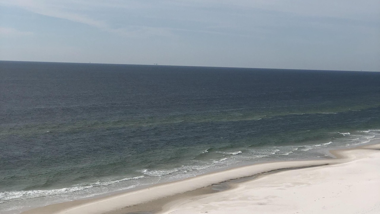Photo of Others in Gulf Shores