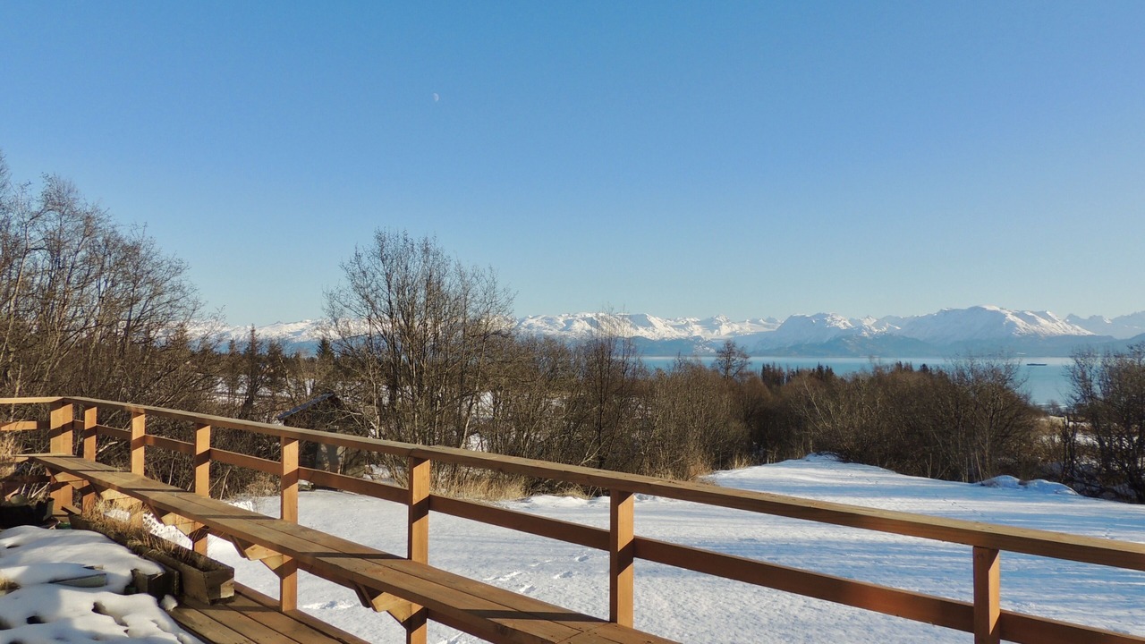 Photo of Others in Kachemak