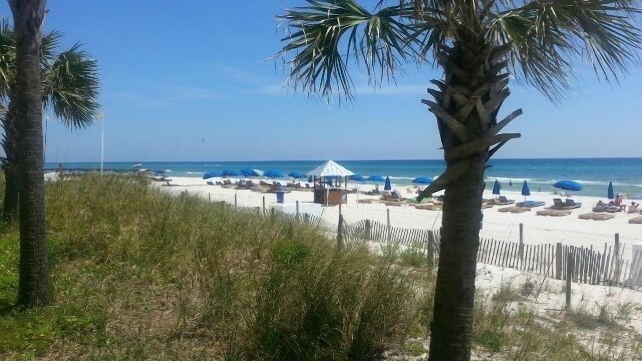 Photo of Others in Miramar Beach