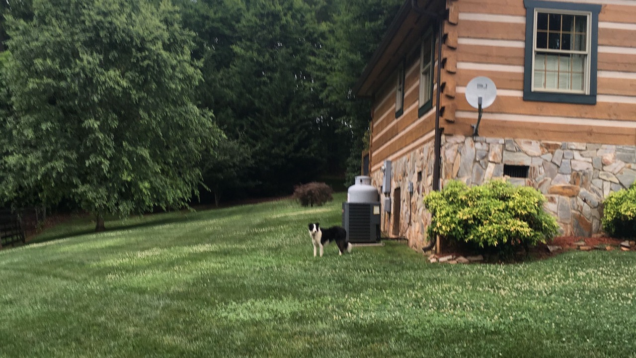 Photo of Outdoor in Mount Airy