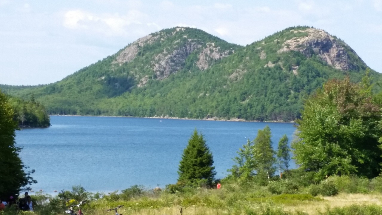 Photo of Others in Seal Harbor