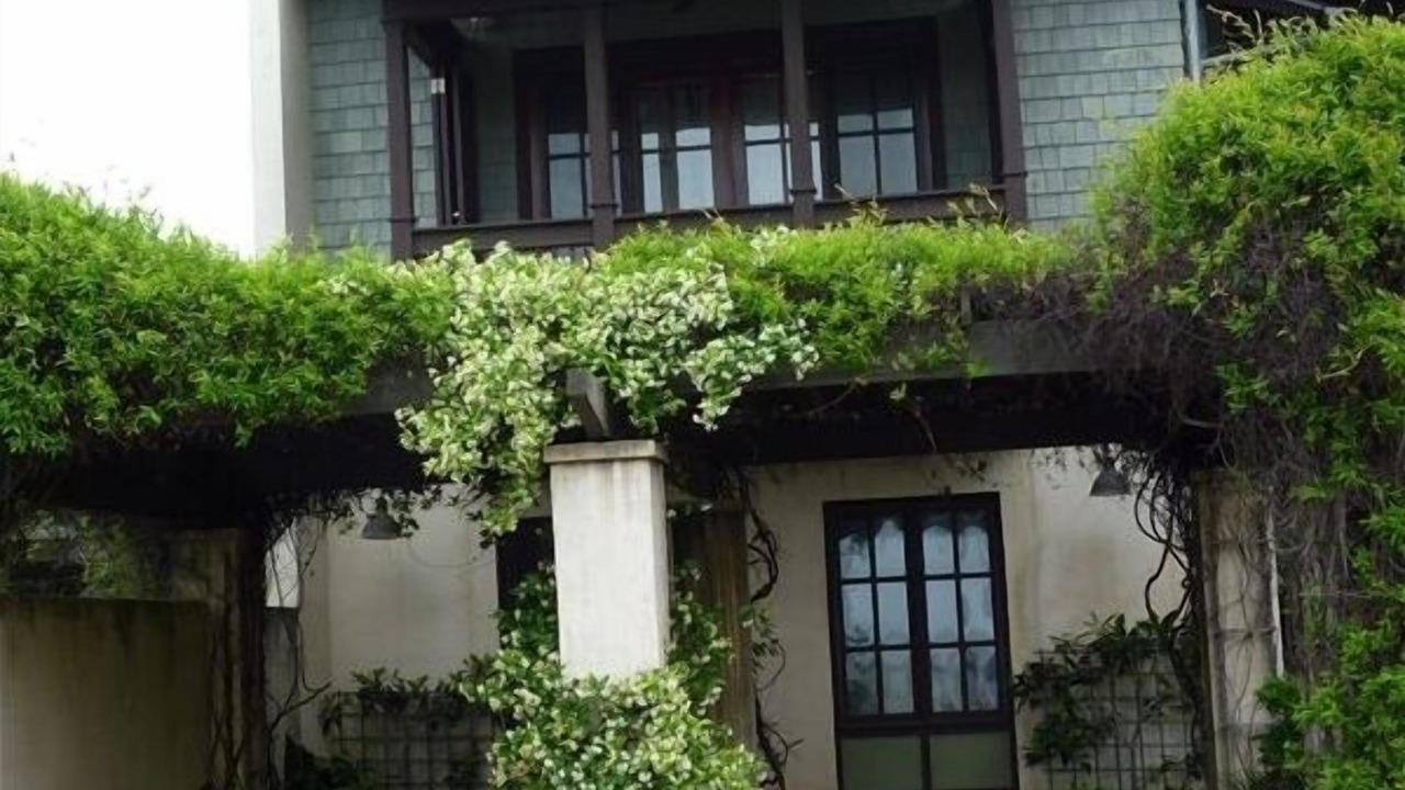 Photo of Outdoor in Rosemary Beach