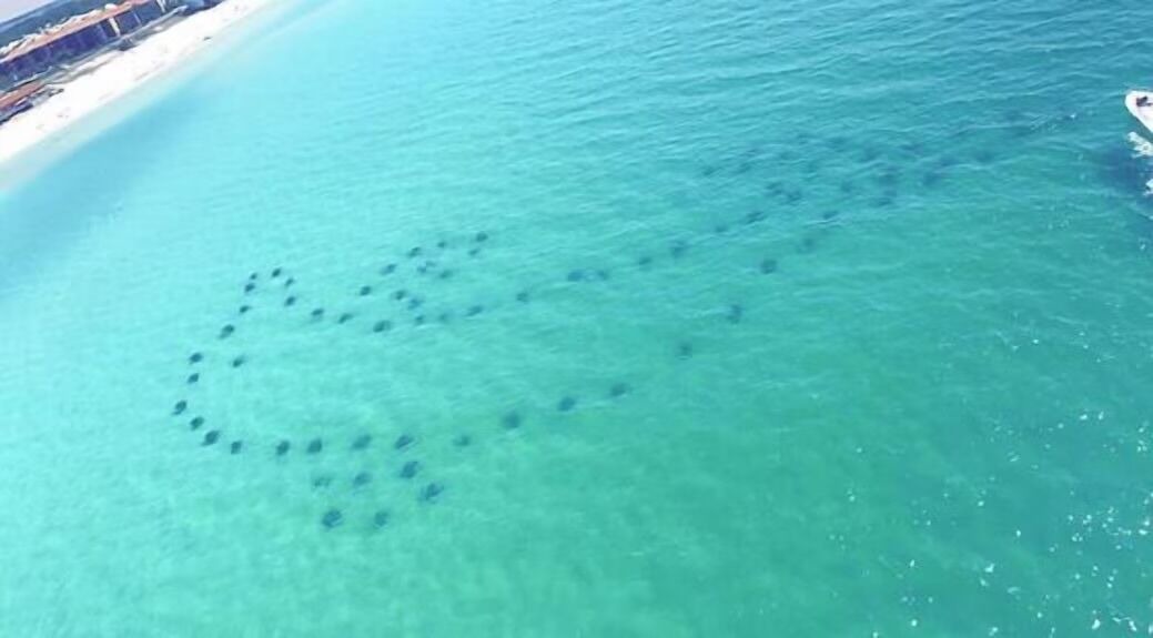 Photo of Others in Miramar Beach