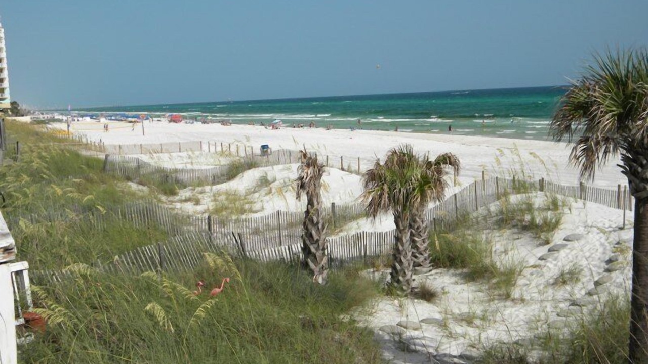 Photo of Others in West Panama City Beach
